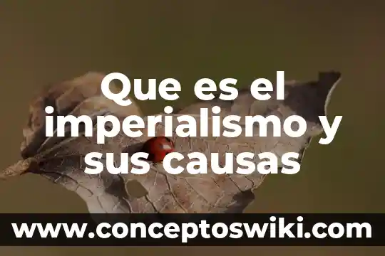 Que es una avalancha causas y consecuencias 4 Que es el imperialismo y sus causas