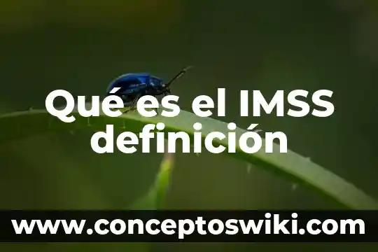 Que es un pámpano definicion 6 Qué es el IMSS definición