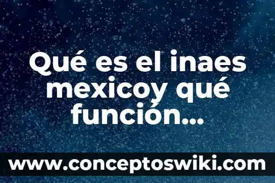 Qué mes cumple una persona que es signo acuario 4 Qué es el inaes mexicoy qué función cumple