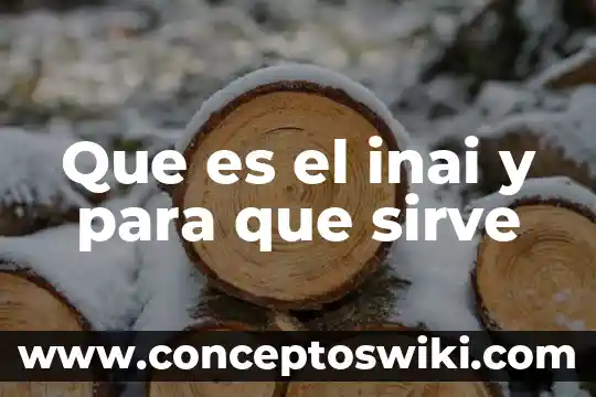 Qué es y para qué sirve el calor 4 Que es el inai y para que sirve