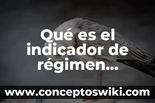 Qué es el régimen de incorporación fiscal 4 Qué es el indicador de régimen cinemático en un molinete