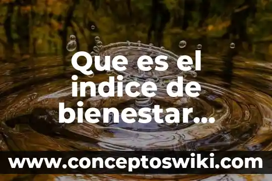 Que es indice s.p 3 Que es el indice de bienestar social