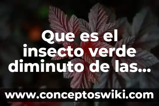 Que es un regulador de crecimiento en plantas 5 Que es el insecto verde diminuto de las plantas