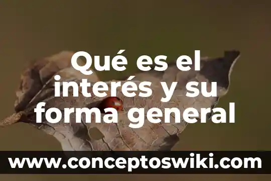 Que es principio de forma 5 Qué es el interés y su forma general