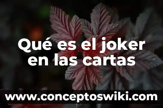Que es principio en materia penal 6 Qué es el joker en las cartas