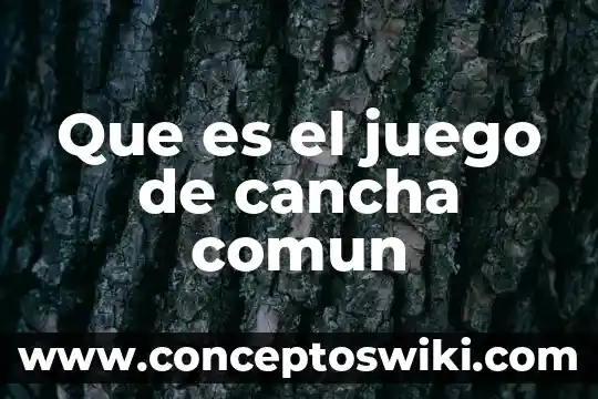 ¿Qué es un juego geométrico? 6 Que es el juego de cancha comun