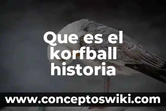 Qué es DDP en diseño 8 Que es el korfball historia