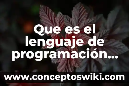 Que es un cuadro comparativo realismo empirismo y positivism 7 Que es el lenguaje de programación cuadro comparativo