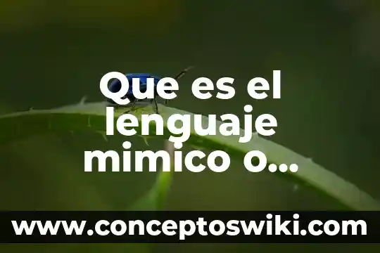 Qué es el lenguaje abstracto significado 8 Que es el lenguaje mimico o gestual