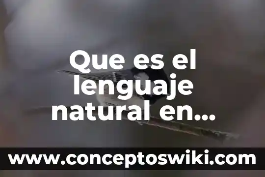 Qué es mantenimiento de equipos y sistemas computacionales 8 Que es el lenguaje natural en sistemas computacionales