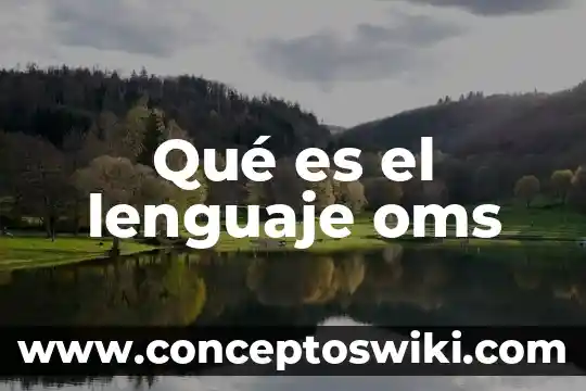 Qué es el lenguaje de descripción o definición 5 Qué es el lenguaje oms