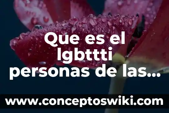 Que es e firma de personas físicas 7 Que es el lgbttti personas de las poblaciones