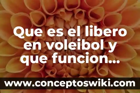 Qué es la función ecolo 3 Que es el libero en voleibol y que funcion cumple