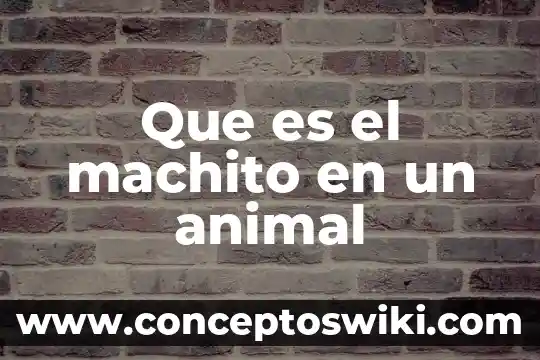 Qué es el animal estornino 8 Que es el machito en un animal