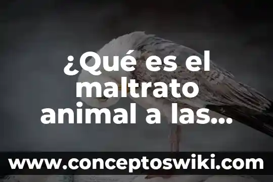Que es el maltrato fisico segun autores 8 ¿Qué es el maltrato animal a las mascotas?