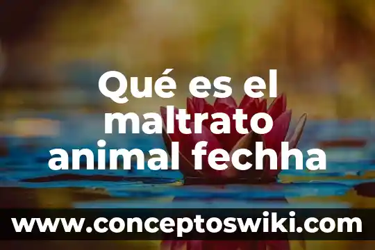 Que es el maltrato animal 7 Qué es el maltrato animal fechha