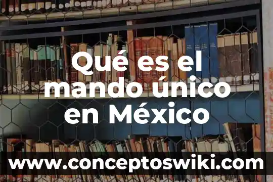 Que es una creación de cuadros de mando 6 Qué es el mando único en México