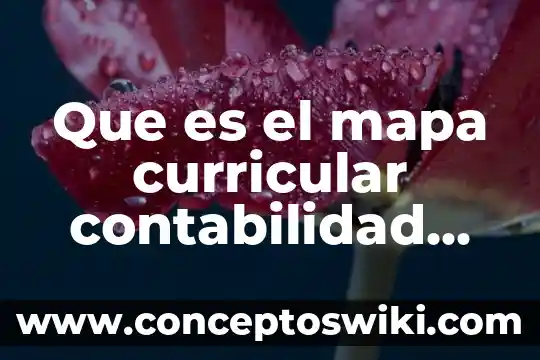 Que es educacion infantil tesis 6 Que es el mapa curricular contabilidad conalep 2016