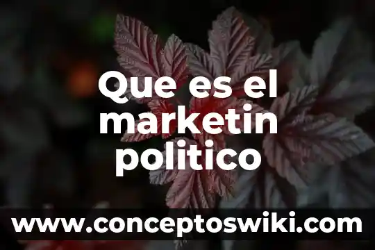 Que es el feudalismo el aspecto politico 8 Que es el marketin politico