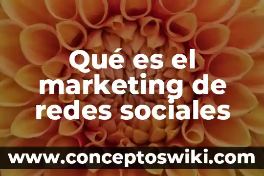 Que es una bulneravilidad redes 6 Qué es el marketing de redes sociales