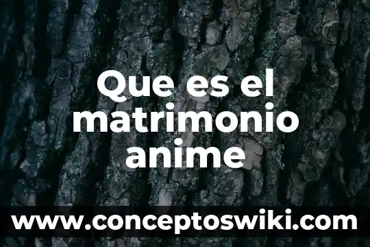 Que es enh anime 4 Que es el matrimonio anime