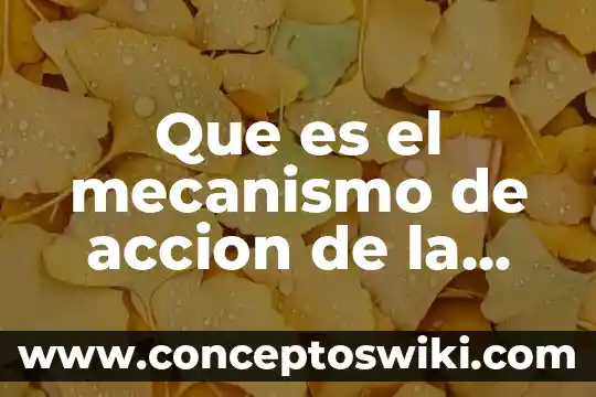 Qué es la identificación proyectiva mecanismo de defensa ejemplo 3 Que es el mecanismo de accion de la farmacodinamia
