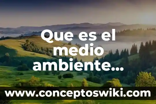 Que es la protección al ambiente 3 Que es el medio ambiente como afecta a la salud