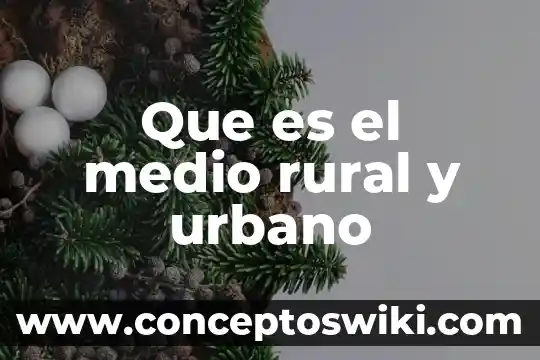 Que es un distrito urbano y sus caracteristicas 5 Que es el medio rural y urbano