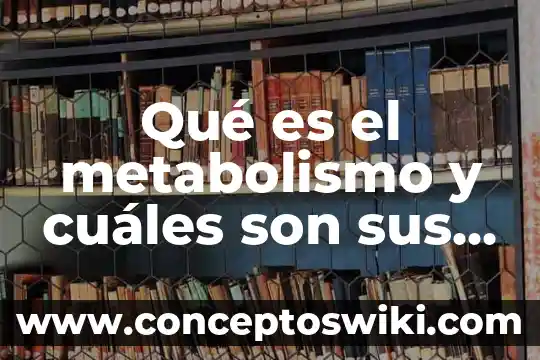 Que es y cuales son las caracteristicas de un soneto 7 Qué es el metabolismo y cuáles son sus objetivos