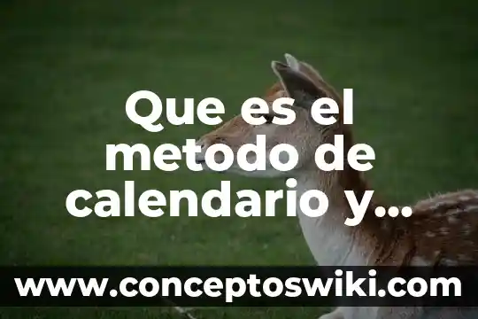 Qué es un método de programación en Project 4 Que es el metodo de calendario y coito interrumpido