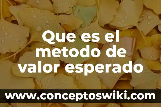 Que es la planta de cafe de vivero 7 Que es el metodo de valor esperado