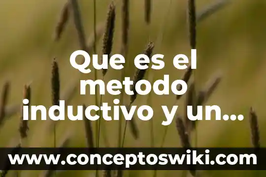 Qué es un método inductivo 8 Que es el metodo inductivo y un ejemplo