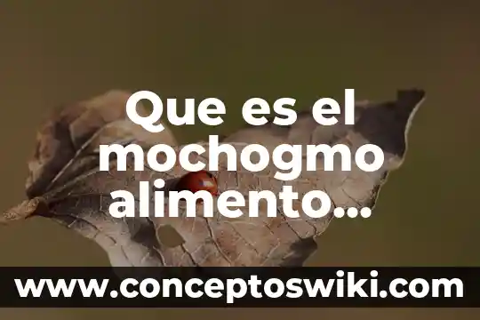Que es el alimento crecilac 7 Que es el mochogmo alimento sinaloense
