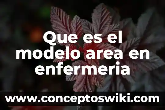 Qué es un modelo en enfermeria y teoría 8 Que es el modelo area en enfermeria