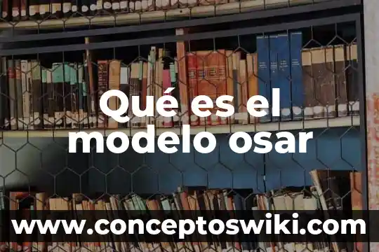 Que es el modelo perfecto en economia 3 Qué es el modelo osar