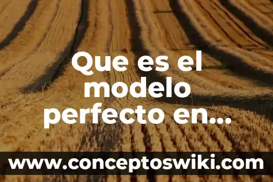 ¿Qué es el modelo clase? 7 Que es el modelo perfecto en economia