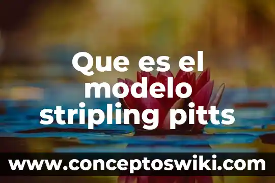 Que es el modelo perfecto en economia 7 Que es el modelo stripling pitts