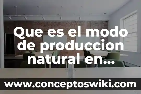 Que es modo ghost 3 Que es el modo de produccion natural en economia