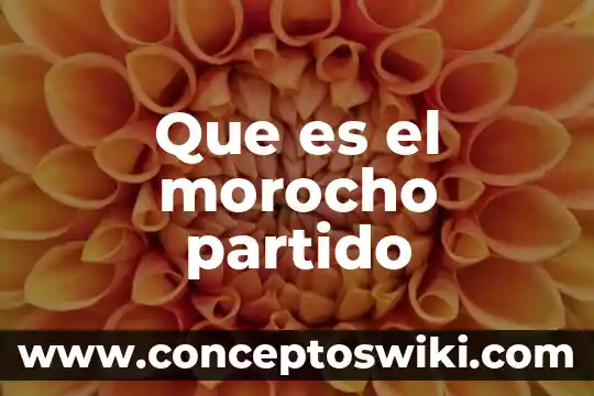 Qué es adherirse a un partido político 6 Que es el morocho partido