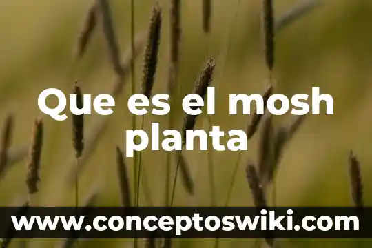 Gerente de planta que es 5 Que es el mosh planta