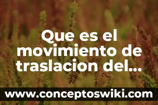 Que es para mi el idioma ingles 7 Que es el movimiento de traslacion del sol