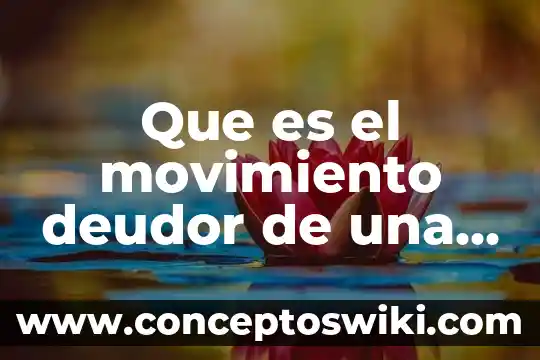 Concepto que es un deudor alimentista en derecho mexicano 3 Que es el movimiento deudor de una cuenta