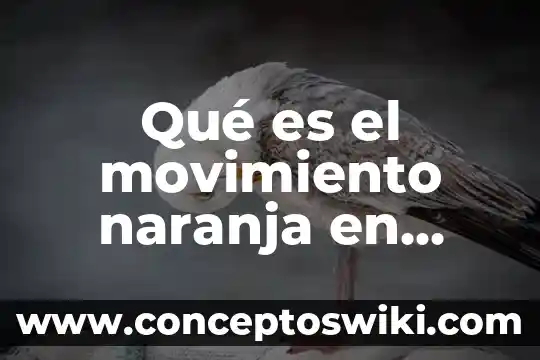 Que es el movimiento naranja parodia 4 Qué es el movimiento naranja en Colombia