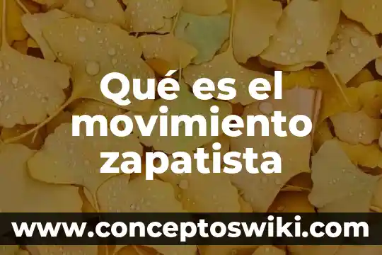 Qué es movimiento espiral 6 Qué es el movimiento zapatista