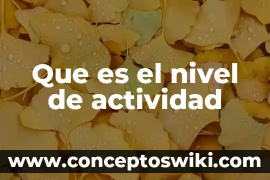 Qué es una actividad estrategias y recursos didácticos 6 Que es el nivel de actividad
