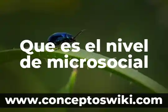 Que es una planta captus 4 Que es el nivel de microsocial