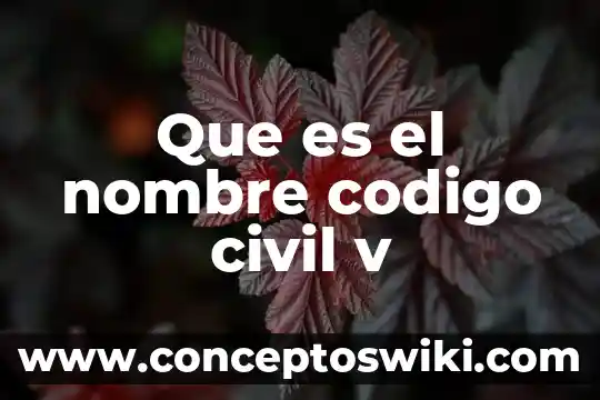 Que es código de nuremberg 5 Que es el nombre codigo civil v
