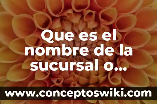 Por que es importante la velocidad del dinero 6 Que es el nombre de la sucursal o unidad csd