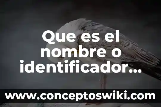 Que es el identificador nacional 3 Que es el nombre o identificador de trabajo