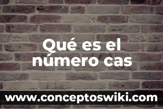Qué es el número de registro de identificación fiscal 8 Qué es el número cas